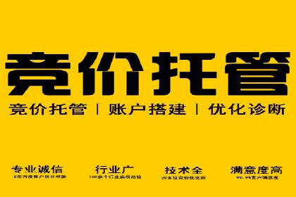 百度推广实战攻略：案例与技巧